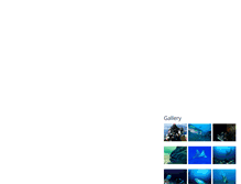 Tablet Screenshot of dive-limit.com